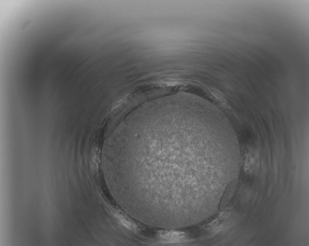 X0000060570476200511101634