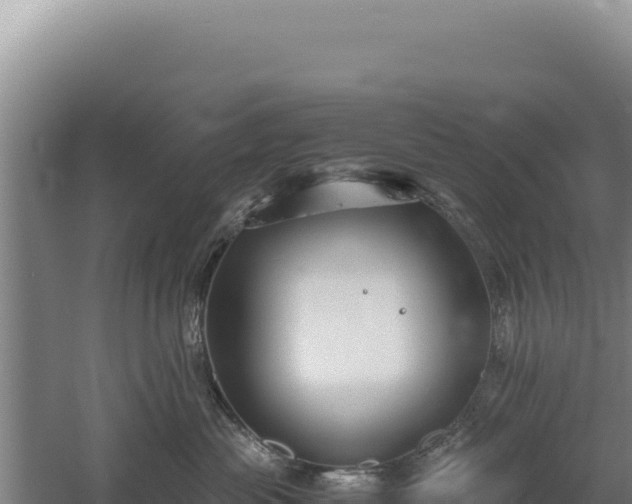 X0000060570477200511101634