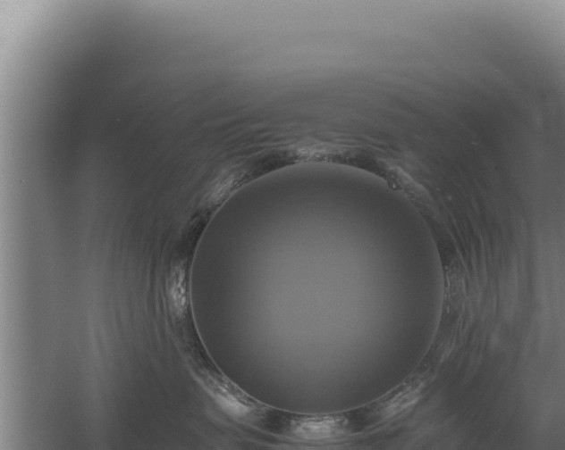 X0000060570479200511101634