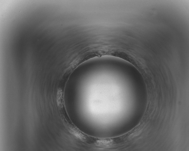 X0000060570480200511101634