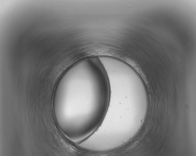 X0000060570481200511101634