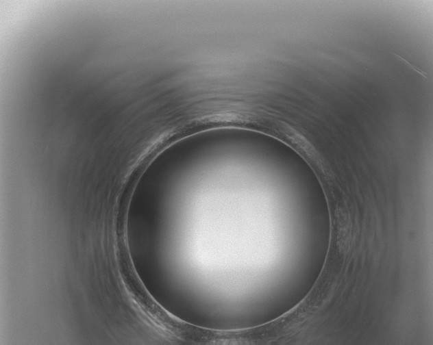 X0000060570482200511101634