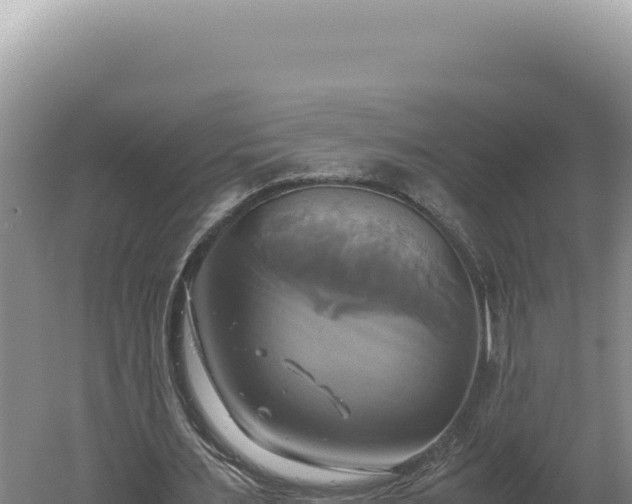 X0000060570483200511101633