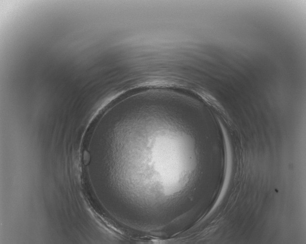 X0000060570484200511101633