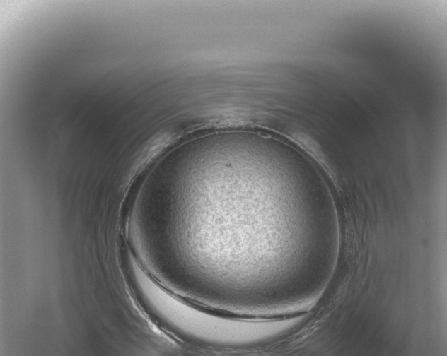 X0000060570485200511101633