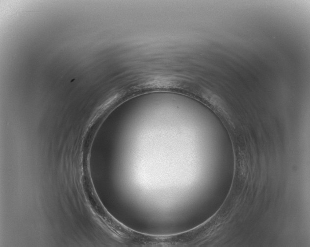 X0000060570486200511101633