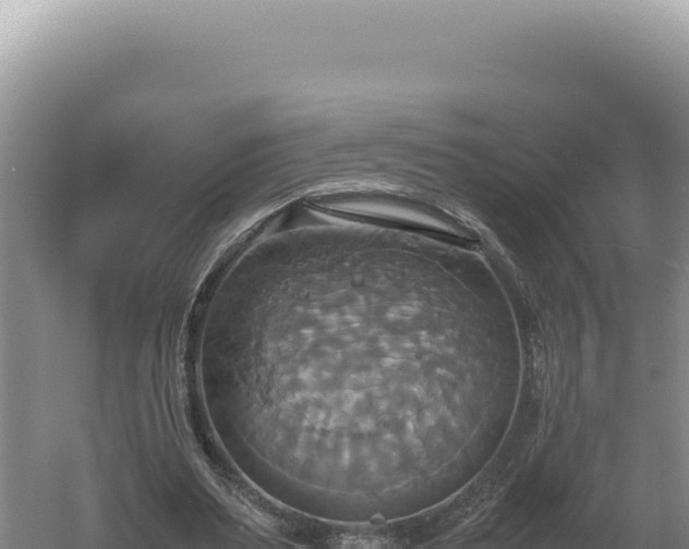 X0000060570487200511101633