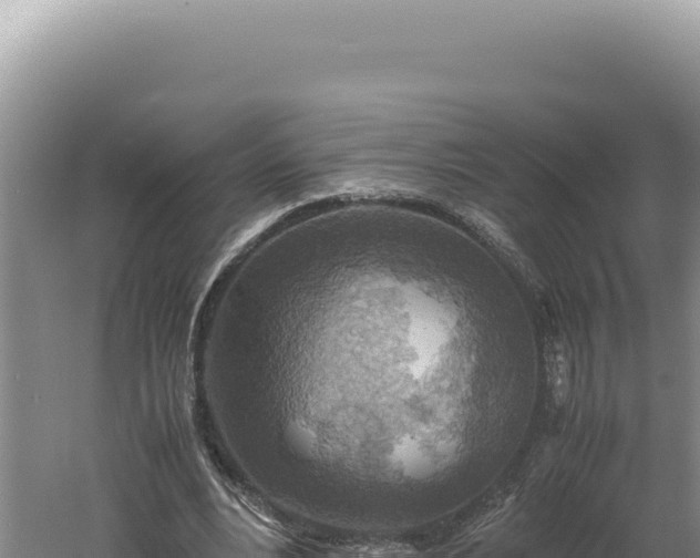 X0000060570488200511101633