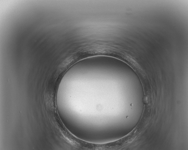 X0000060570489200511101633