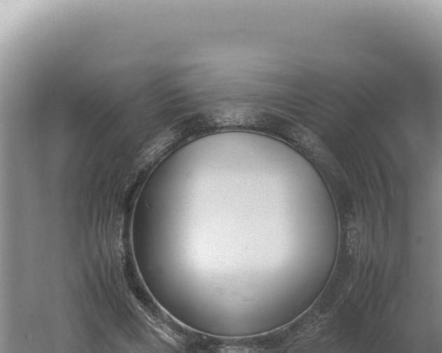 X0000060570490200511101633