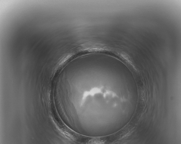 X0000060570491200511101633