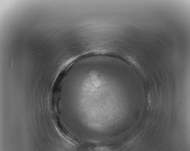 X0000060570492200511101633