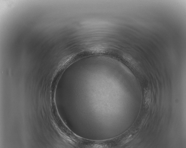 X0000060570494200511101633