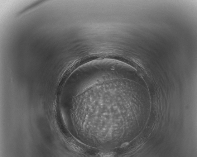 X0000060570495200511101633