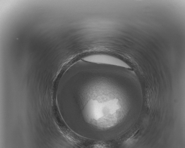 X0000060570496200511101633