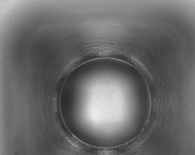 X0000060570497200511101633