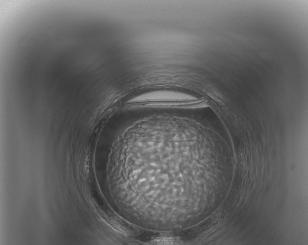 X0000060570499200511101633