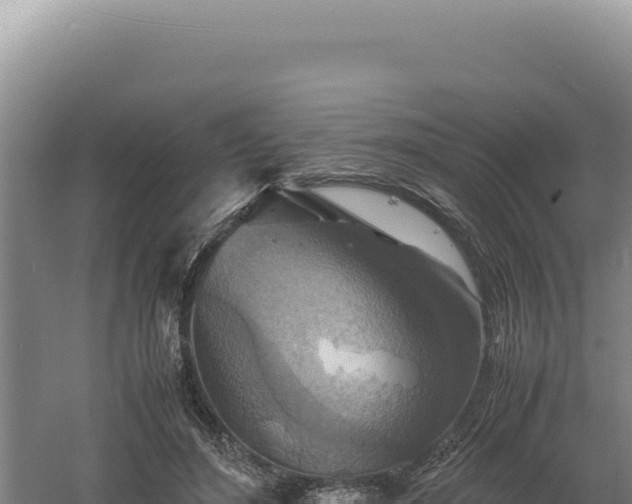 X0000060570500200511101633