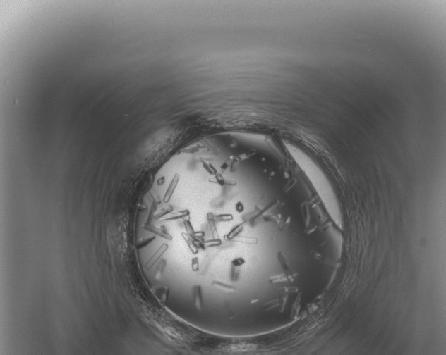 X0000060570501200511101633