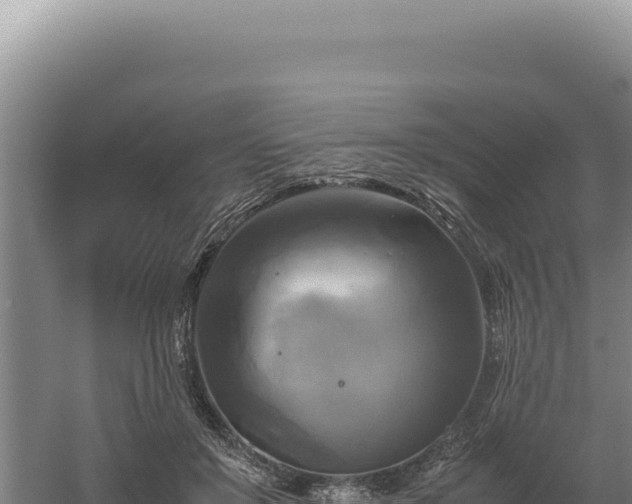 X0000060570503200511101633