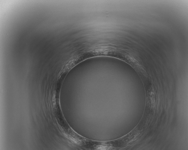 X0000060570504200511101633