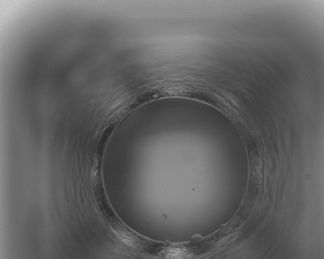 X0000060570507200511101633