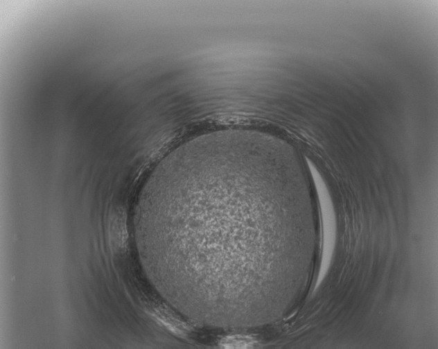 X0000060570508200511101633