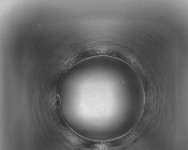 X0000060570509200511101633