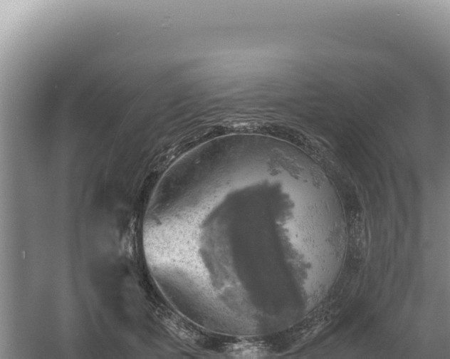 X0000060570511200511101633