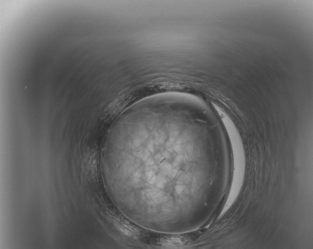 X0000060570513200511101633