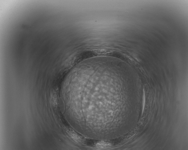 X0000060570515200511101633