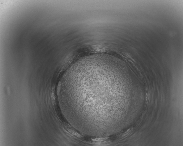 X0000060570516200511101633