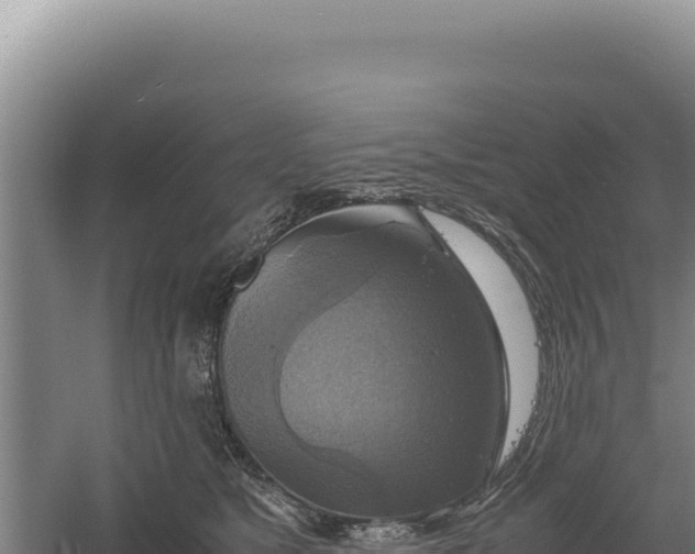 X0000060570517200511101633