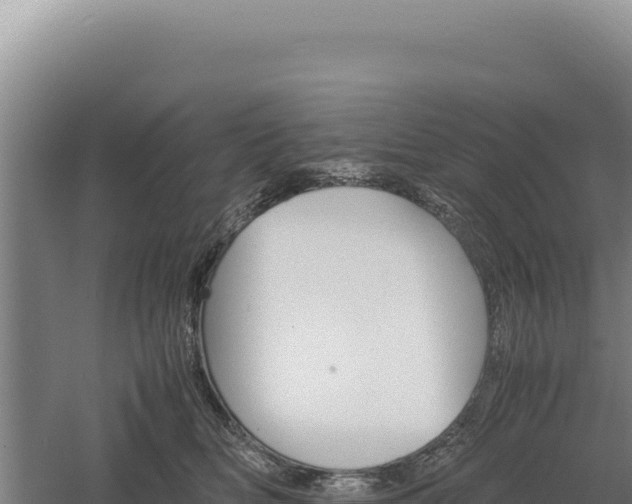 X0000060570518200511101633