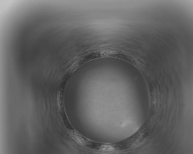 X0000060570519200511101633