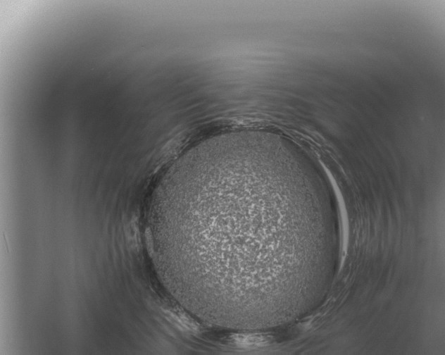 X0000060570520200511101633