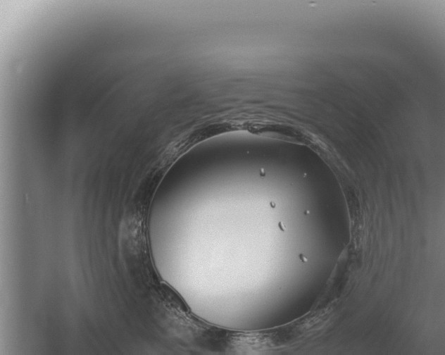 X0000060570521200511101633