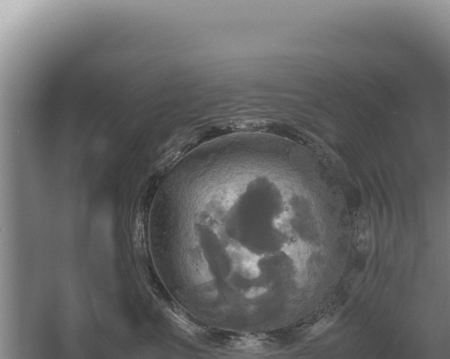 X0000060570523200511101633