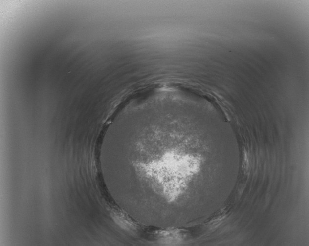 X0000060570524200511101633