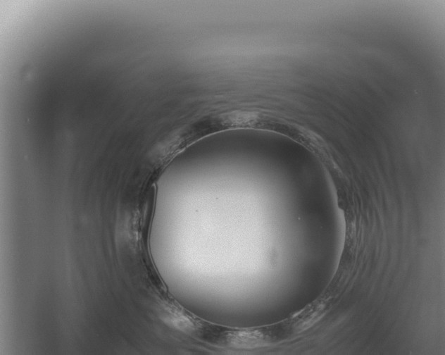 X0000060570525200511101633