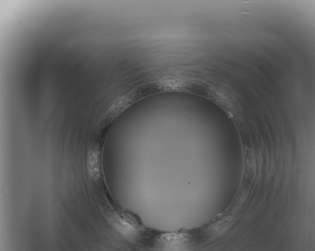 X0000060570526200511101633