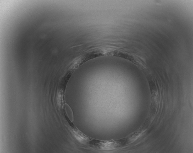 X0000060570527200511101633