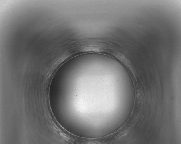 X0000060570529200511101632