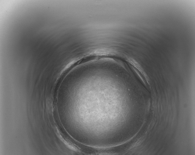 X0000060570530200511101632