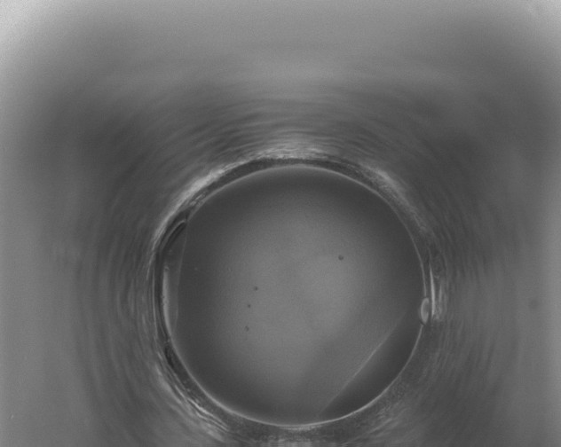 X0000060570531200511101632