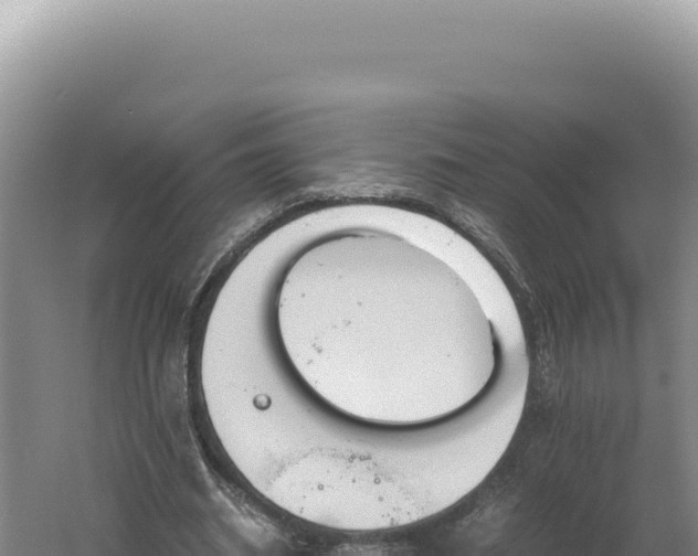 X0000060570534200511101632