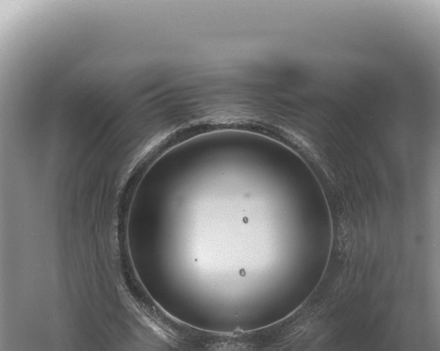 X0000060570535200511101632