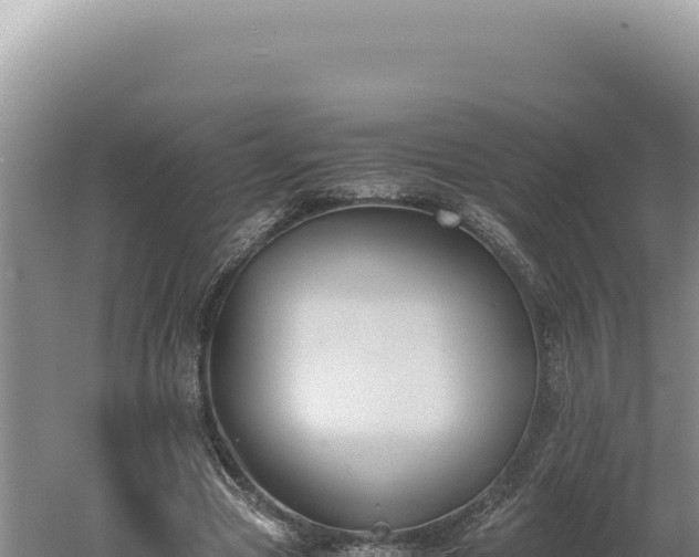 X0000060570537200511101632