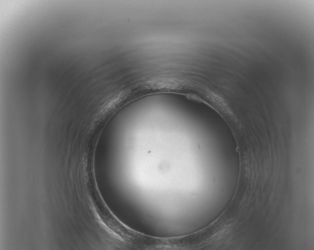 X0000060570538200511101632