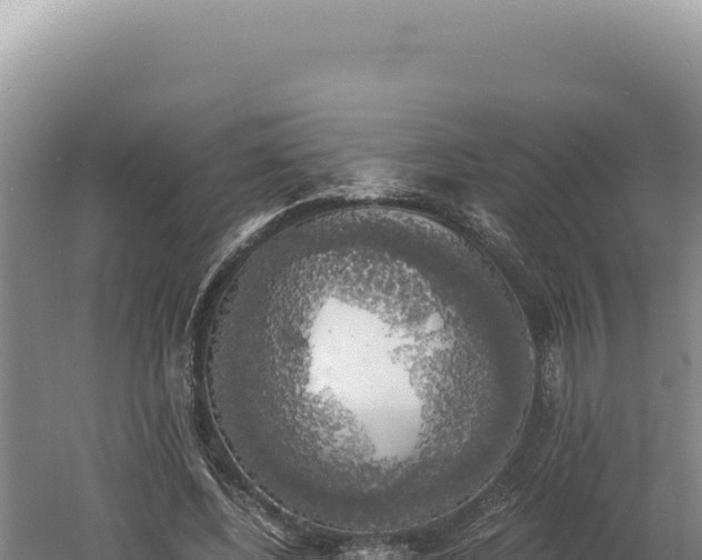 X0000060570540200511101632